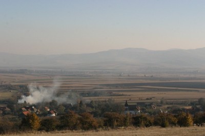 Óriáspincetető